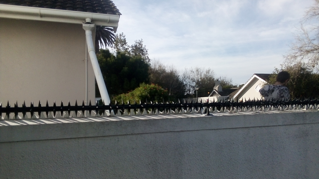 Star Security Rola Spikes Fence Wall
