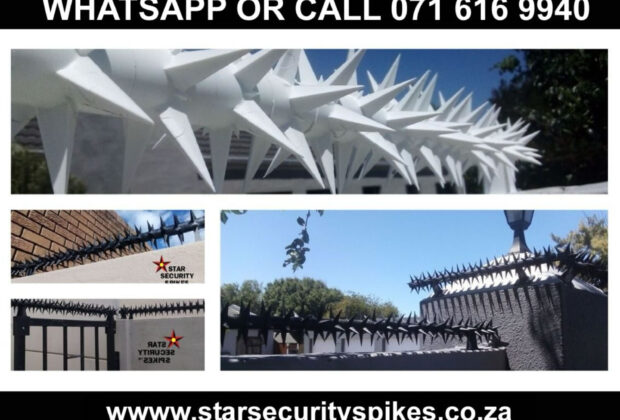 Star Spikes Security East Rand